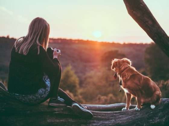 pet-friendly