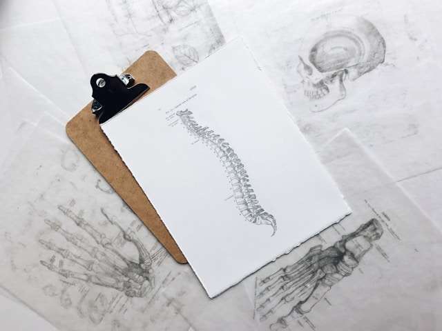 low back pain